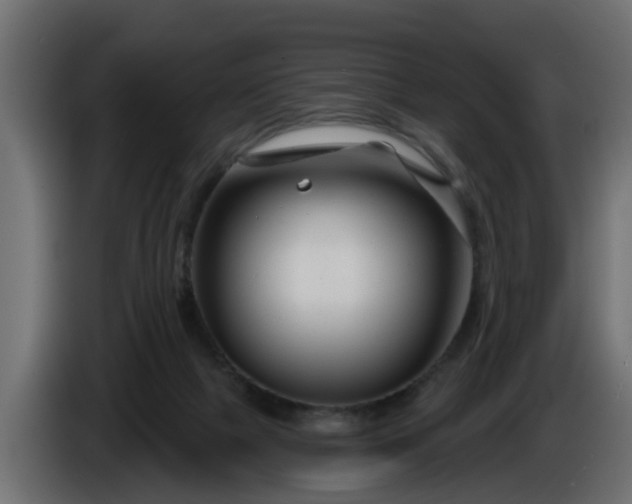 X0000086320073200704131704