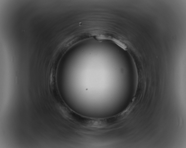 X0000086320074200704131704