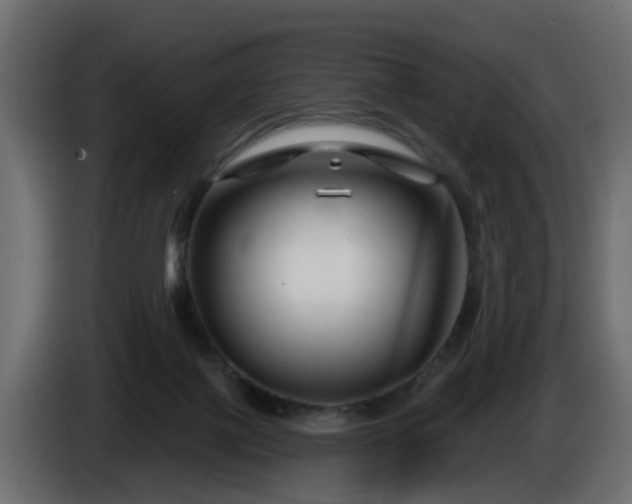 X0000086320075200704131704