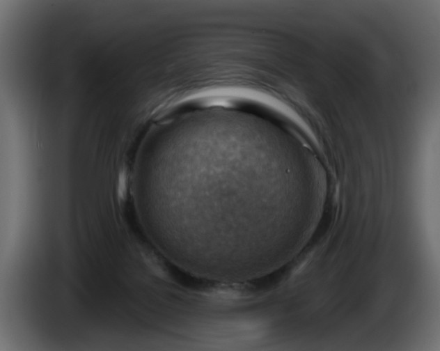 X0000086320076200704131704