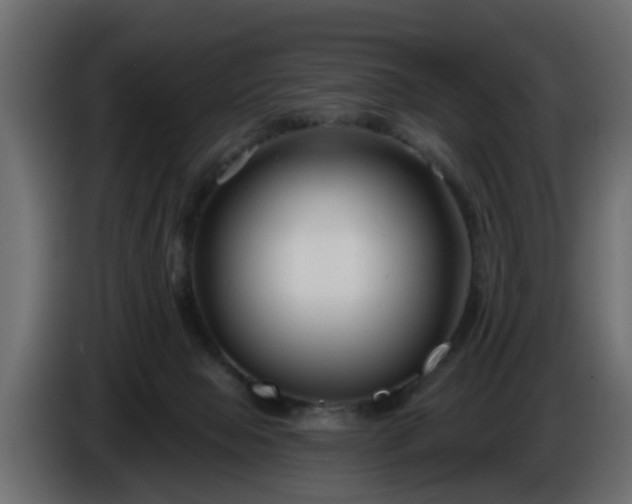 X0000086320077200704131704