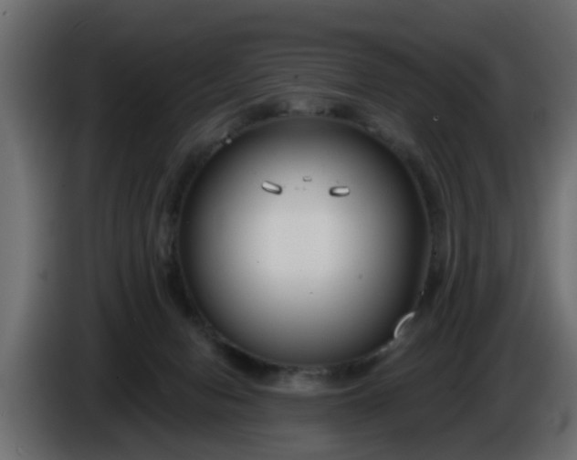 X0000086320078200704131704