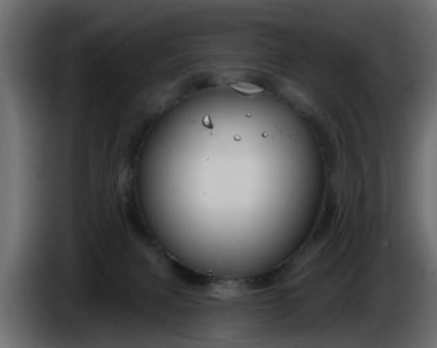 X0000086320079200704131704