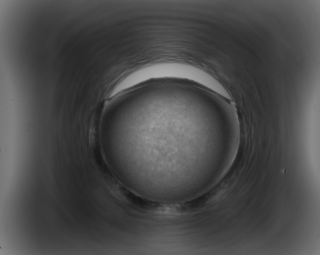 X0000086320080200704131704