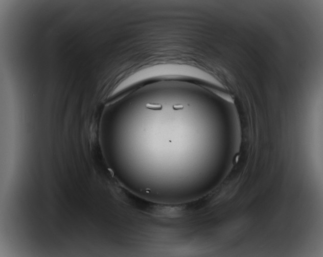 X0000086320081200704131704