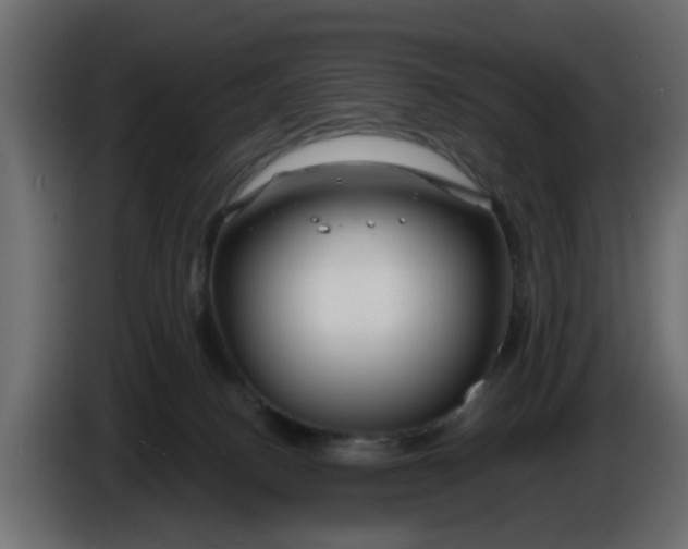 X0000086320082200704131704