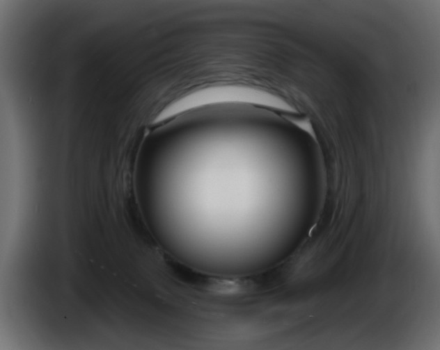 X0000086320083200704131704