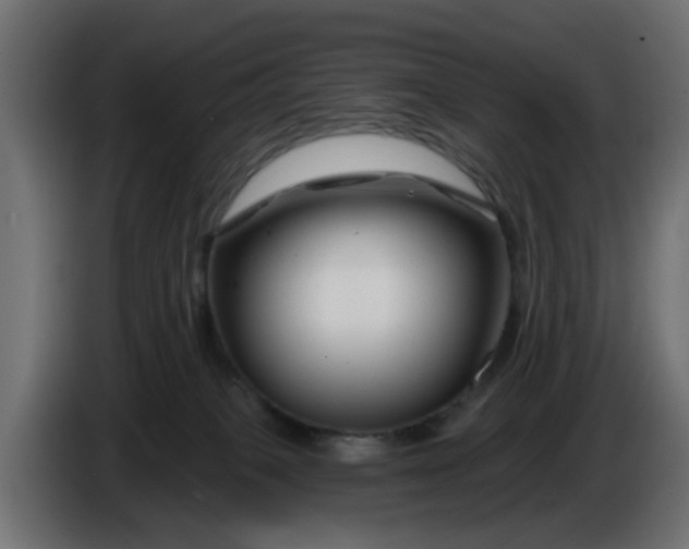 X0000086320085200704131704