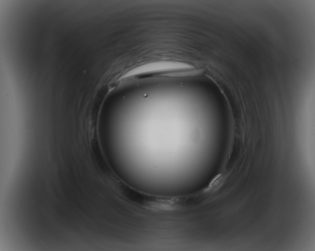 X0000086320086200704131704