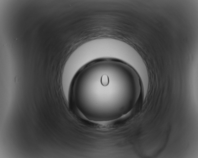 X0000086320088200704131704