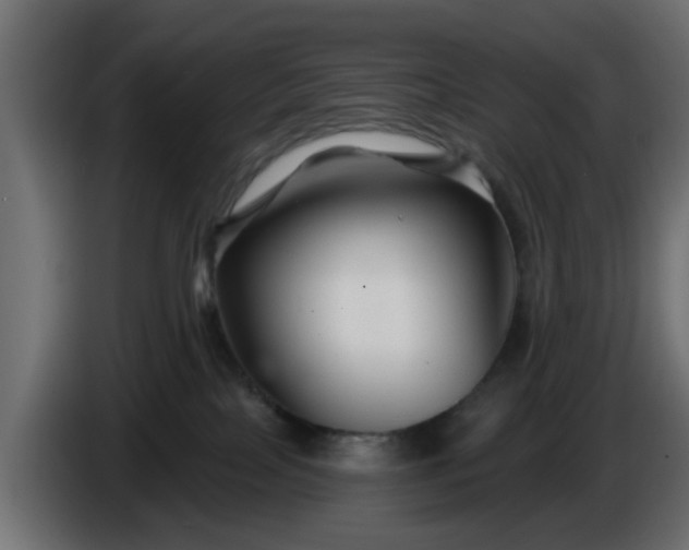 X0000086320089200704131704