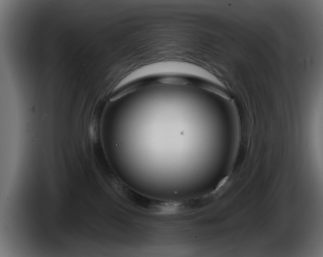 X0000086320090200704131704