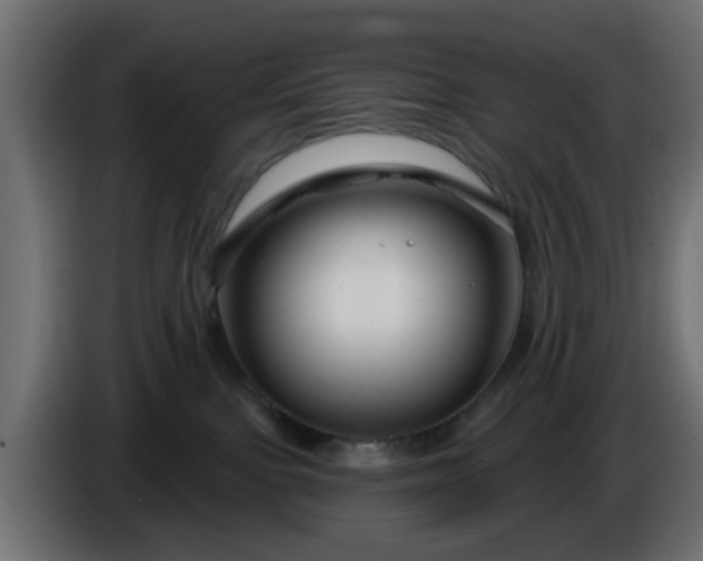 X0000086320091200704131704