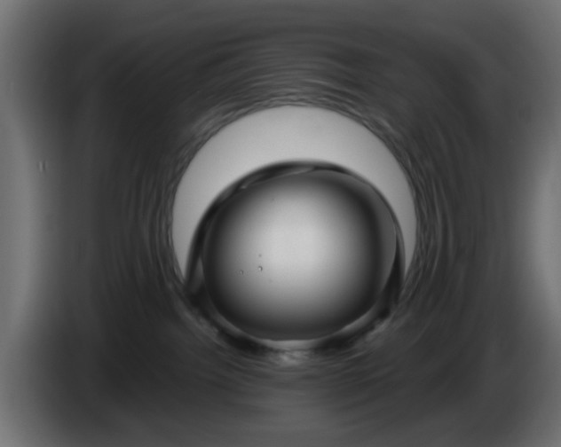 X0000086320092200704131704