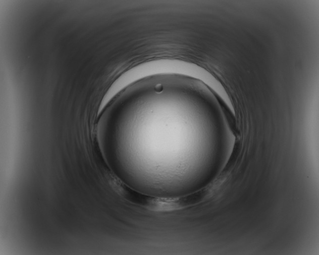 X0000086320093200704131704