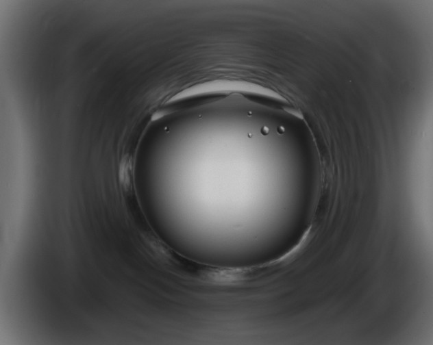 X0000086320094200704131704