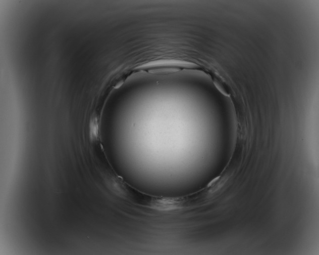 X0000086320095200704131704