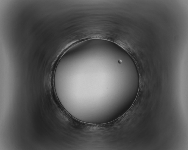 X0000086320098200704131703