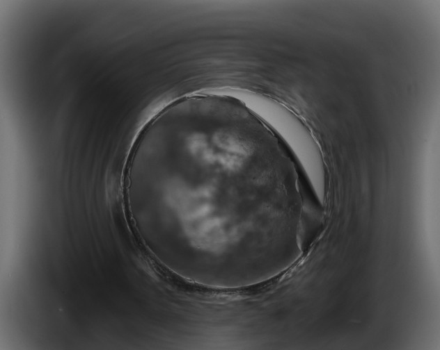 X0000086320099200704131703