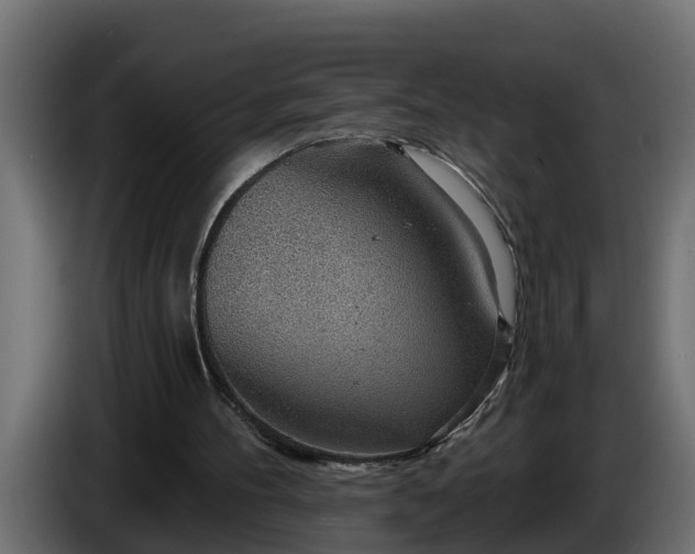 X0000086320100200704131703