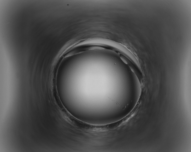 X0000086320101200704131703