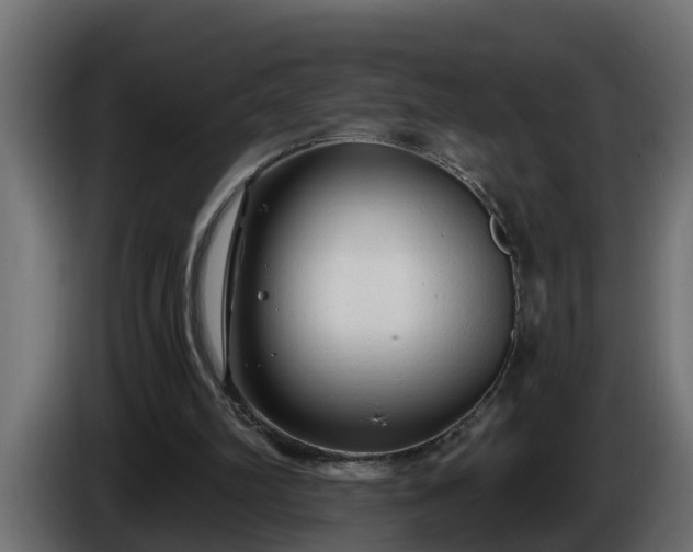 X0000086320102200704131703