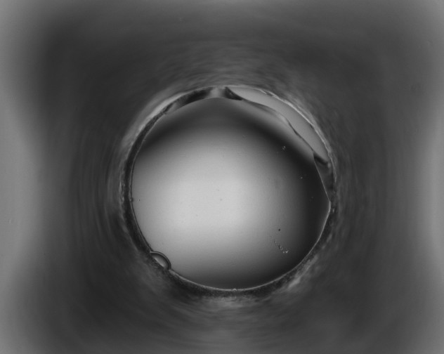 X0000086320103200704131703