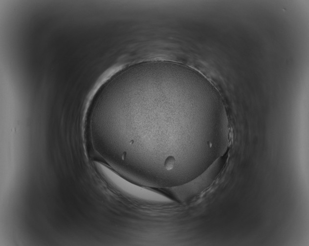 X0000086320104200704131703