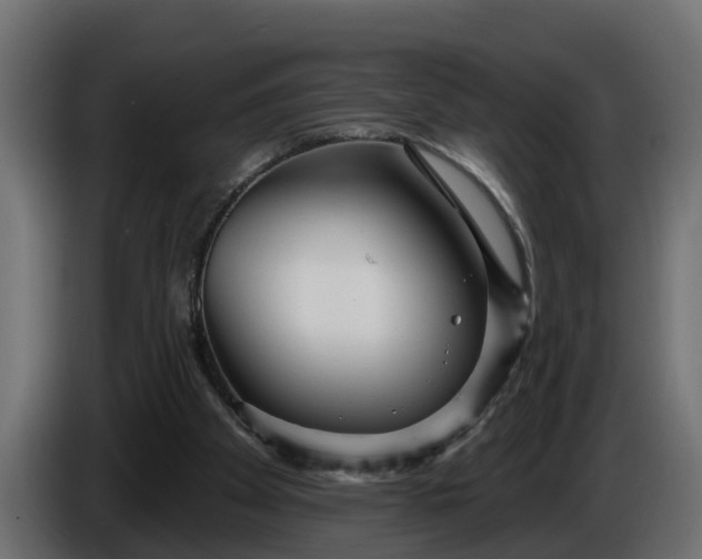 X0000086320105200704131703