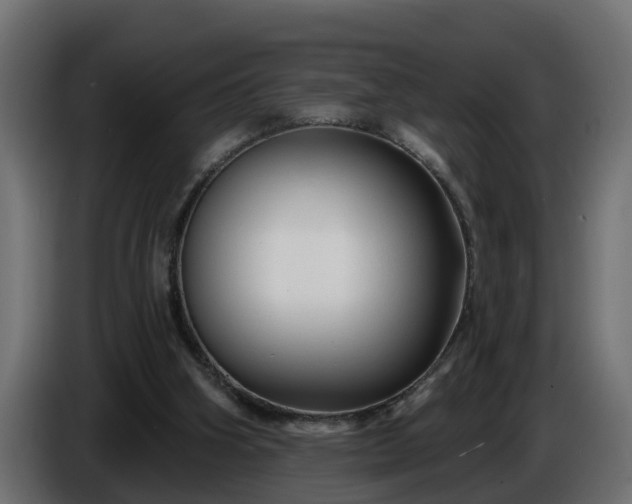 X0000086320106200704131703