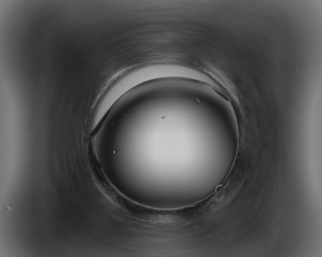 X0000086320107200704131703