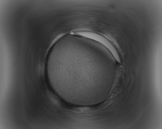 X0000086320108200704131703