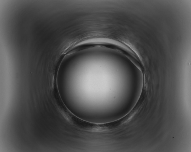 X0000086320109200704131703