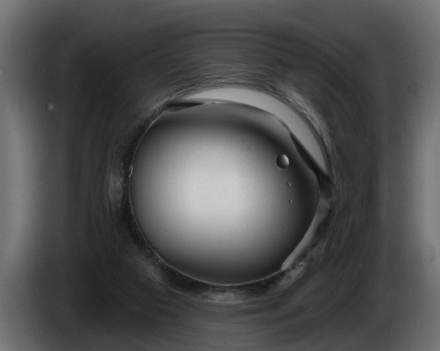 X0000086320113200704131703