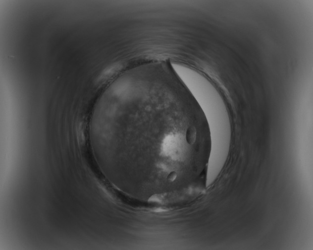 X0000086320114200704131703