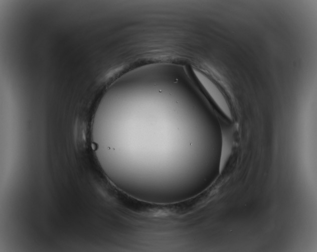 X0000086320115200704131703