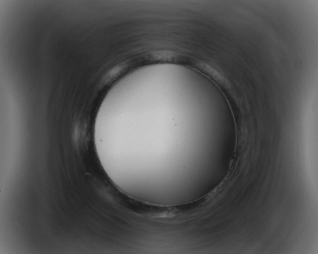 X0000086320116200704131703