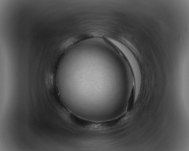 X0000086320117200704131703