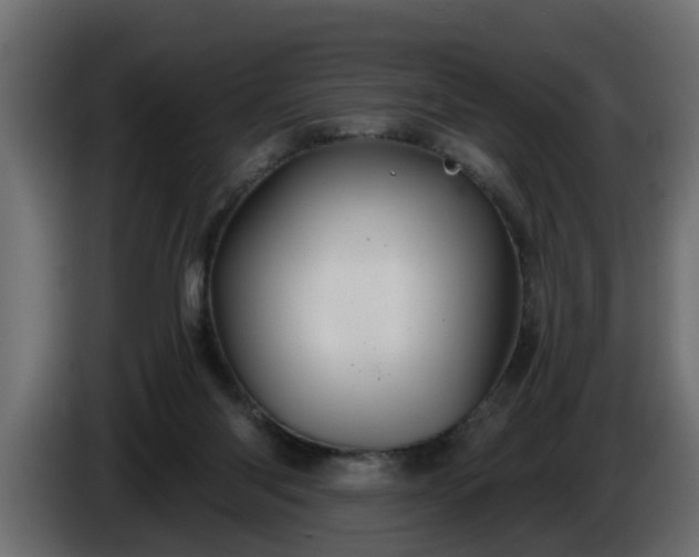 X0000086320118200704131703