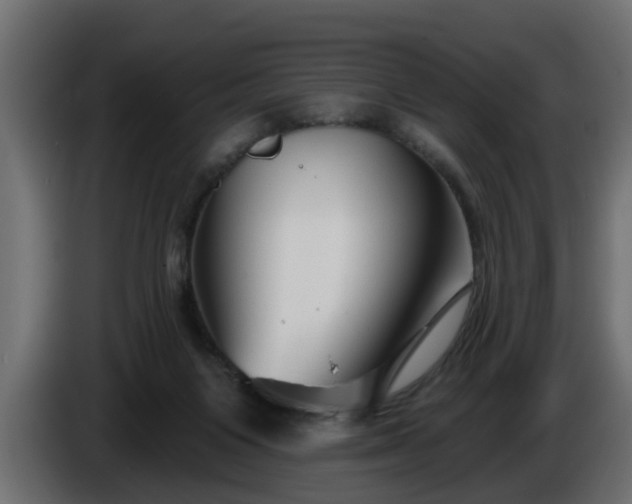 X0000086320119200704131703