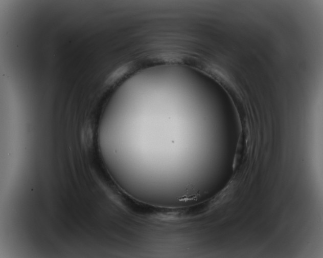 X0000086320120200704131703