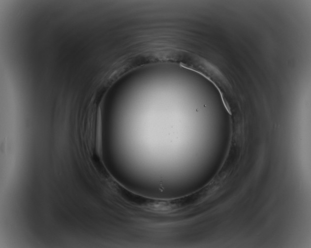 X0000086320121200704131703