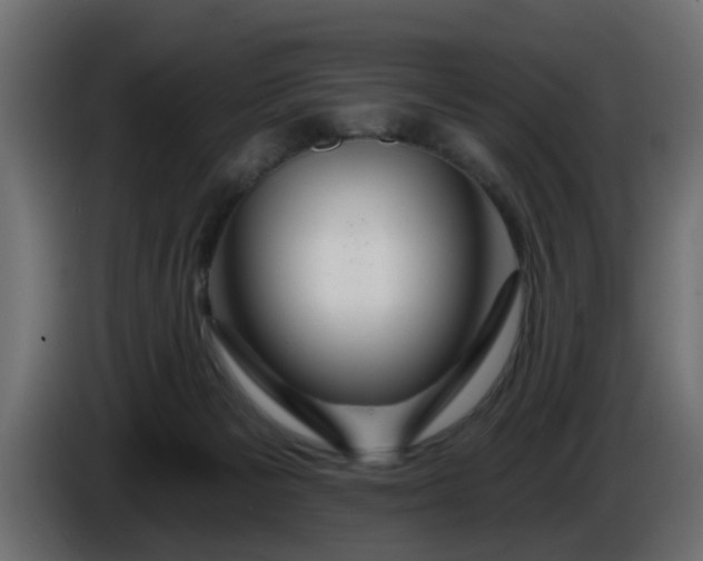 X0000086320125200704131703