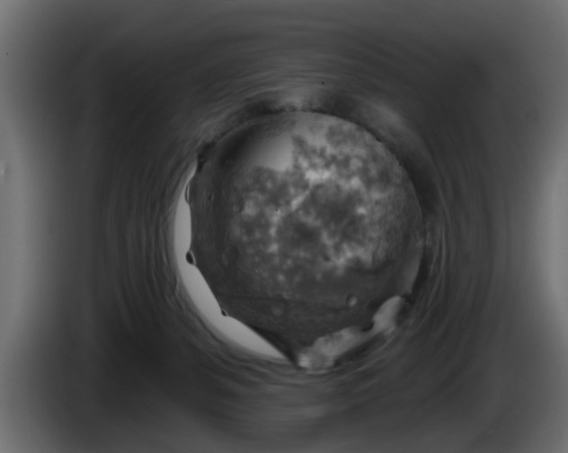 X0000086320127200704131703