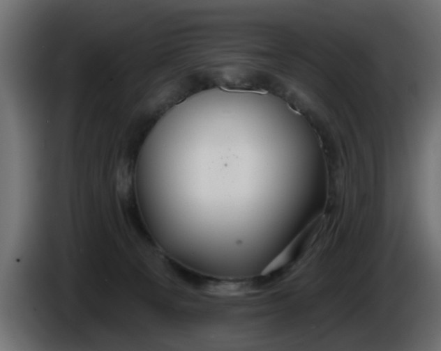 X0000086320129200704131703