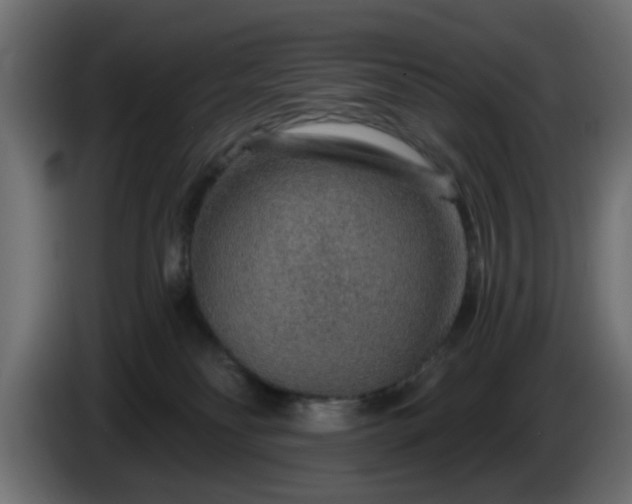 X0000086320134200704131703