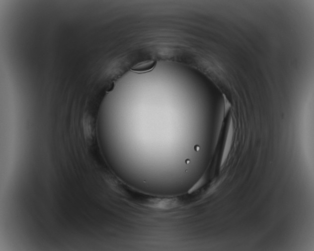 X0000086320135200704131703