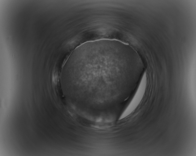 X0000086320137200704131702