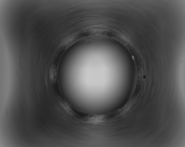 X0000086320138200704131702