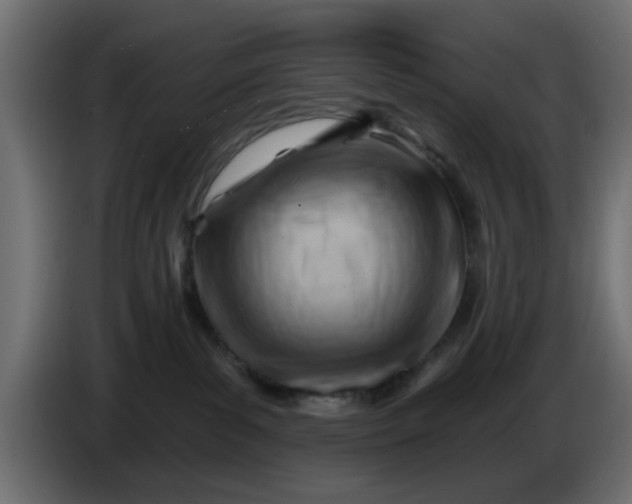 X0000086320139200704131702